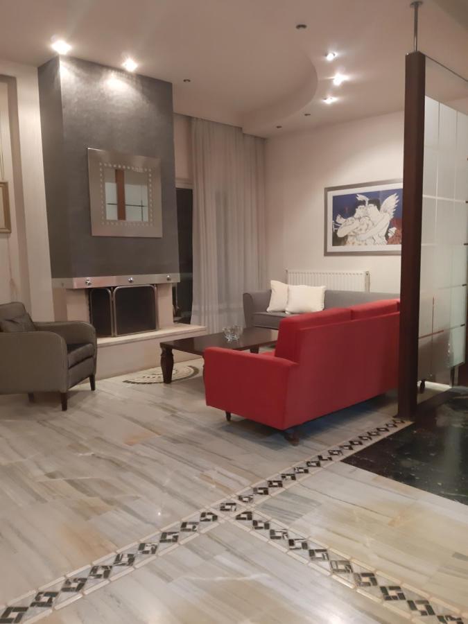 Elegante Apartamento Centrale Tríkala Zewnętrze zdjęcie